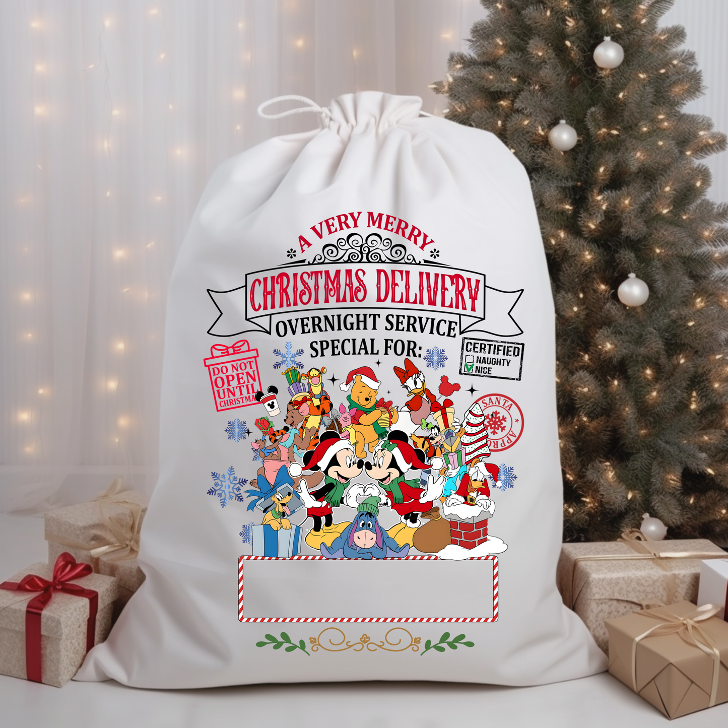 Personalized Santa Sacks - Christmas Delivery